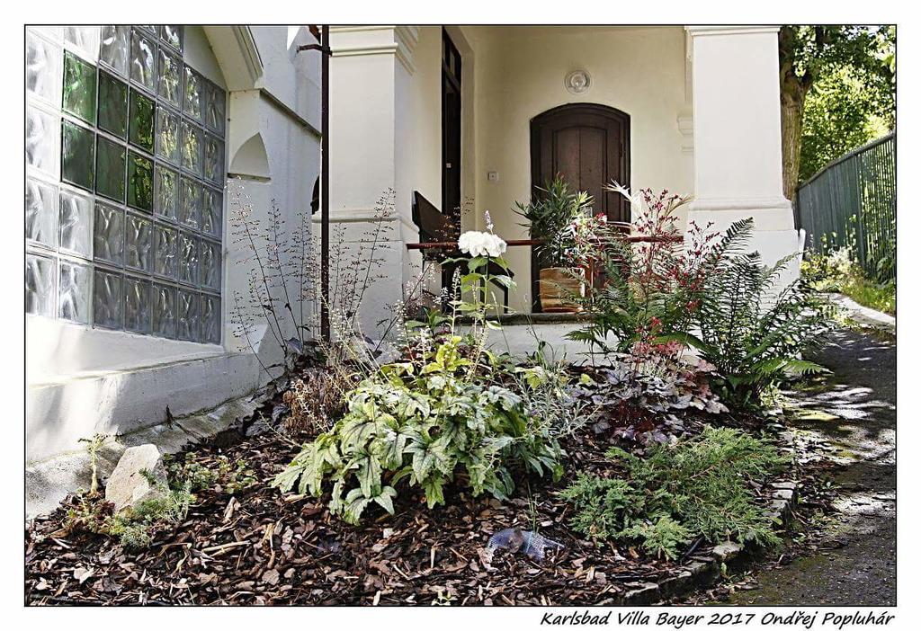 Apartman Vila Bayer Apartment Karlovy Vary Exterior photo